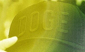 Csomagoljuk a beszélgetésünket a Doge Staff volt tagjával
