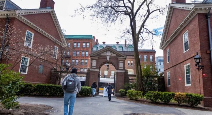 A hallgatók átlépik a Harvard bíróságon.