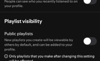 A Spotify -fiókom paraméter oldalának áttekintése; A maximális intimitásra van állítva.