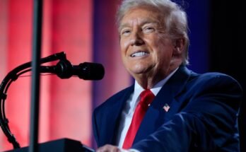 Trump elutasítja azt a gondolatot, hogy a szerzői jogi tulajdonosokat fizetje az AI képzésért