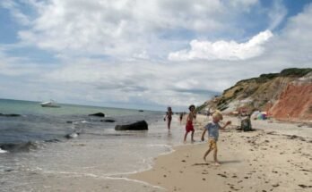 Az új könyv, amely nem mást erről a földről, az őslakos múltot és a jelenet a Martha szőlőültetvényén található. Fent a tengerpartok 2010 júliusában a Moshup strandon.