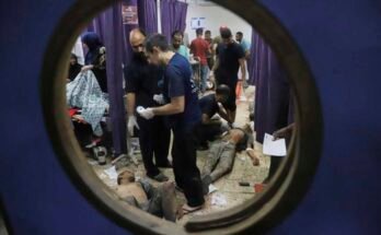 Azok a palesztinok, akiket a Gaza Humanitárius Alapítvány által vezetett központban megsérültek, az Egyesült Államok Izrael által támogatott szervezet által támogatott szervezet, a Gázai déli részén, Khan Younis -i Nasser padlóján, a Khan Younis parkettán, a Gaza -övezetben.