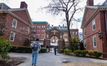 A hallgatók átlépik a Harvard bíróságon.