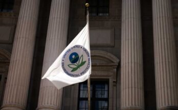 Az Amerikai Épületvédelmi Ügynökség a washingtoni épületben, DC.