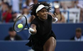 A Vénusz Williams közel tartott akcióban látható, ütővel, golyóval és az arcán való koncentrációval.