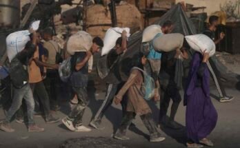 A palesztinok humanitárius segélyek konvojából kiürített liszt zsákos lisztet hordoznak, amely 2025. július 26 -án, szombaton elérte a Gázai City -t az északi Gázai övezetből.