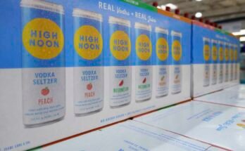 Dobozok Seltzer vodka magas délben jelenik meg egy boltban.
