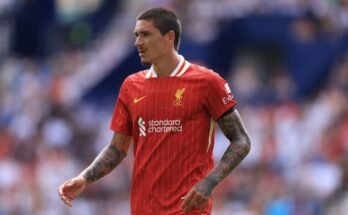 Átadási pletykák, Hírek: AC Milan Move a Núñez de Liverpool számára