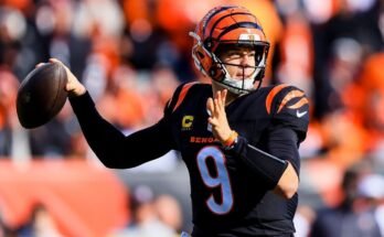 A legjobb játékok ma néznek, a legjobb fogadások, besorolások: Colts a Ravensnél, Pete Carroll Back Seattle -ben, MLB, WNBA és még sok más
