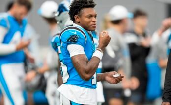 Fizika, képviselők és védelem: Mire szükség van a Panthersre erre az előszezonra