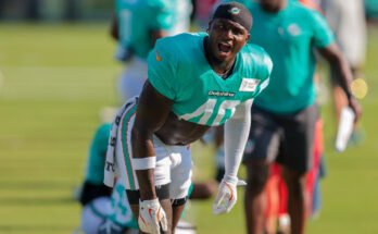 A Willie Gay Jr. de Dolphins energiája a Miami -on keresztül sugárzik, egy új csapat energiájával