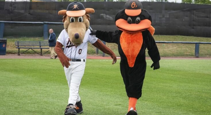 UPDATE: Frederick Keys a Reafiile Orioles -hoz a 2026 -os szezonra