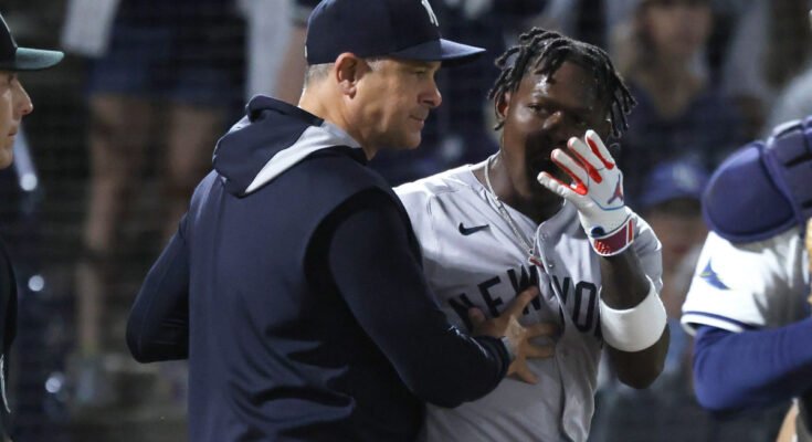 Láng Aaron Boone Tigers rajongói a Jazz Chisholm Jr vita