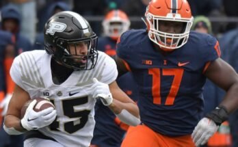 Gabe Jacas a héten többet jelenik meg az NFL szimulációkban