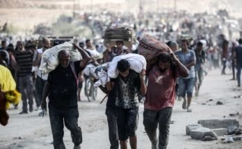 A palesztinok táskákat és dobozokat hordoznak hajtogatott kartonban, miközben visszatérnek az Egyesült Államok és a Gázai Humanitárius Alapítvány által vezetett élelmiszer -elosztási pontról, amelyet az Egyesült Államok támogat, a szombati Gázai Központi övezetben, a Netsarim folyosó közelében.