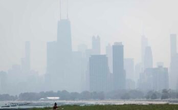 Az emberek az északi oldalon lévő tó melletti fűben pislognak, amikor a chicagói régióban a dohányzó dohányzó erdők ködje, és 2025. július 31 -én, csütörtökön rossz levegőminőséget teremt.