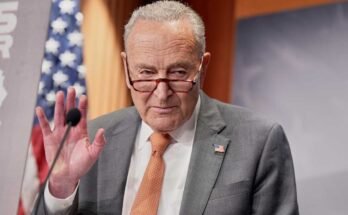 A NY kisebbség Chuck Schumer kisebbségének vezetője 2025. július 31 -én, csütörtökön, Washingtonban, az árakon tartó sajtótájékoztatón beszél.