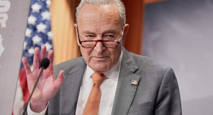 A NY kisebbség Chuck Schumer kisebbségének vezetője 2025. július 31 -én, csütörtökön, Washingtonban, az árakon tartó sajtótájékoztatón beszél.